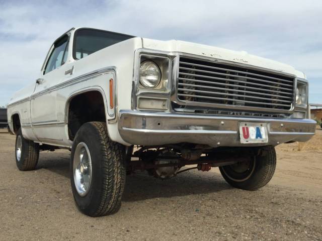 1979 Chevrolet C/K Pickup 1500 Scottsdale K10 - photo 3