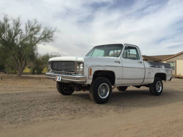 1979 Chevrolet C/K Pickup 1500 Scottsdale K10 - photo 5