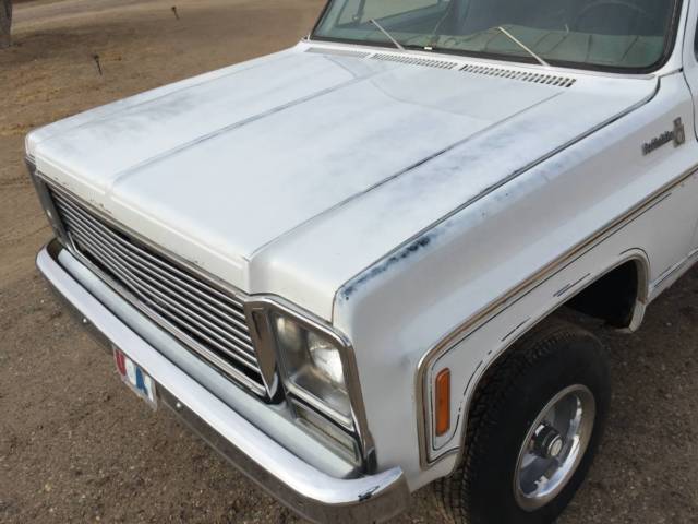 1979 Chevrolet C/K Pickup 1500 Scottsdale K10 - photo 7