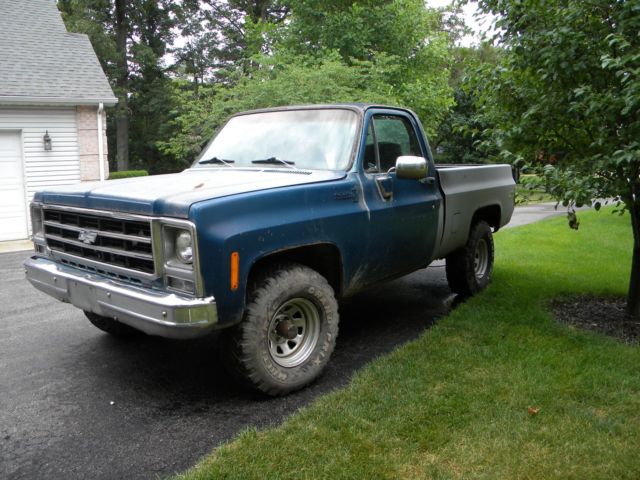 1979 Chevrolet C/K Pickup 1500 - photo 5