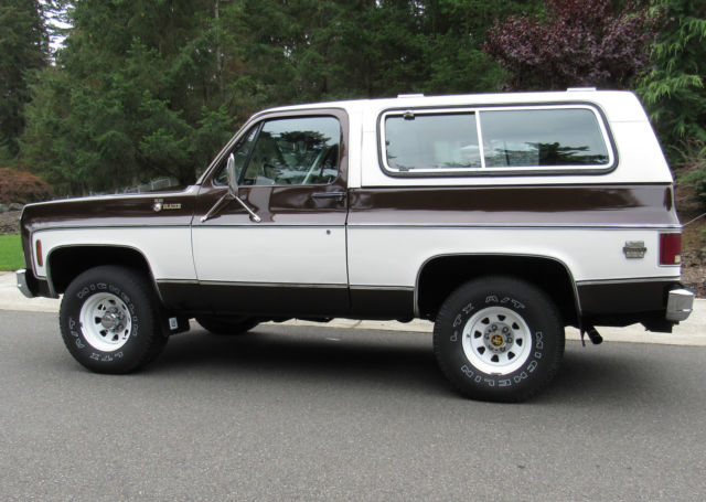 1979 Chevrolet Blazer Blazer - photo 4