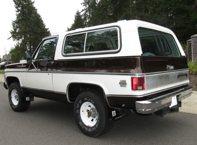 1979 Chevrolet Blazer Blazer - photo 8