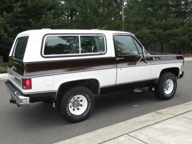 1979 Chevrolet Blazer Blazer - photo 9