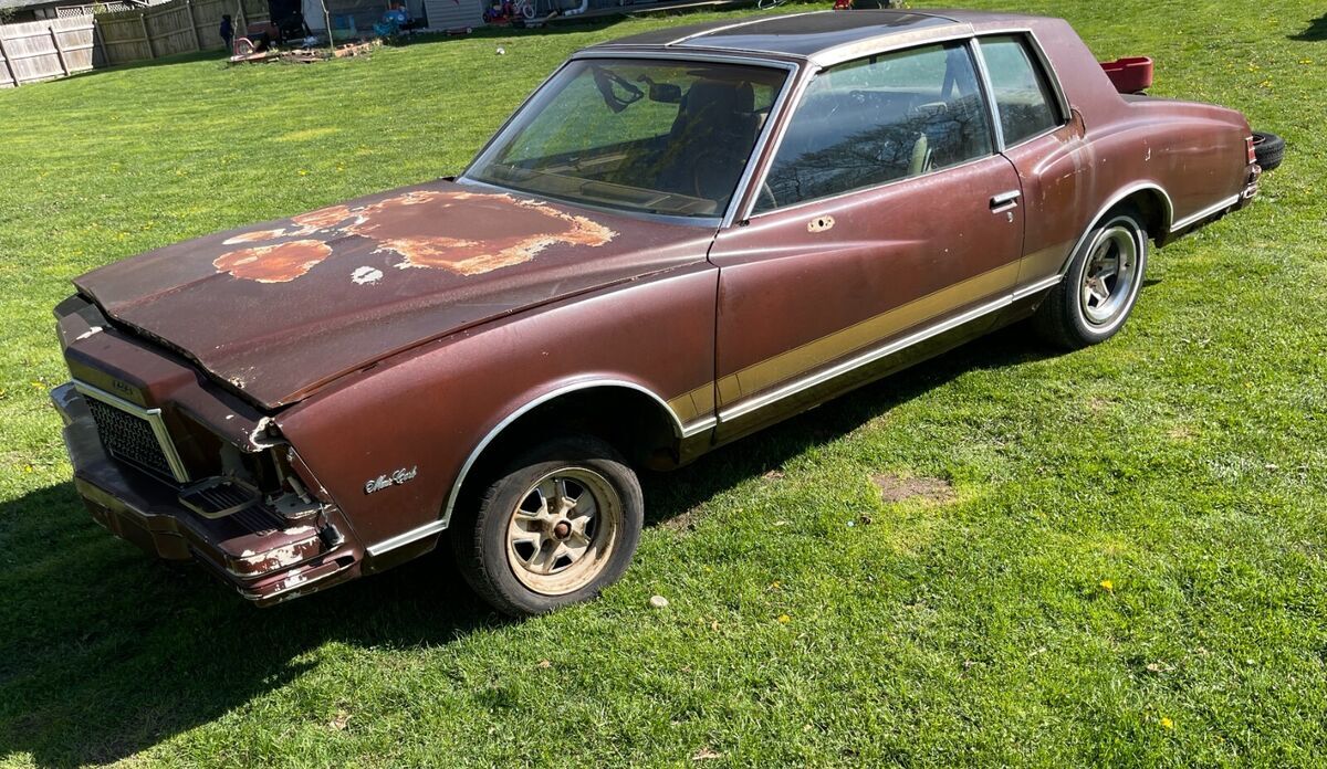 1979 Chevrolet Monte Carlo - photo 2