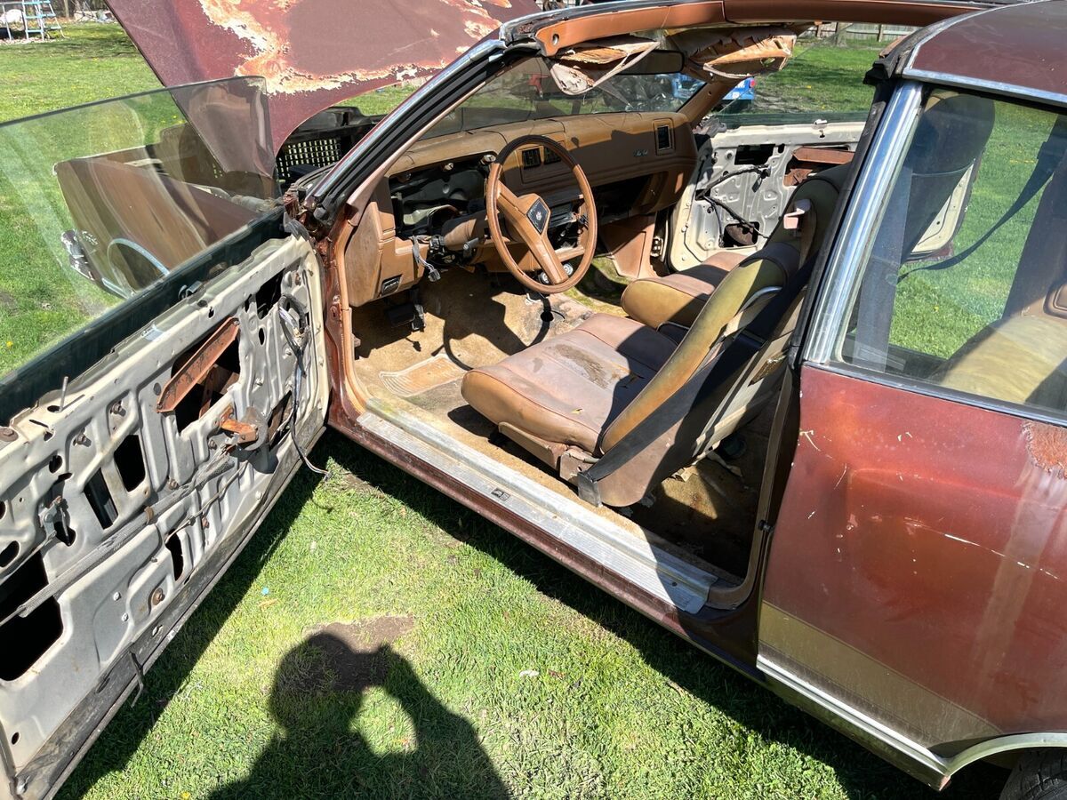 1979 Chevrolet Monte Carlo - photo 5