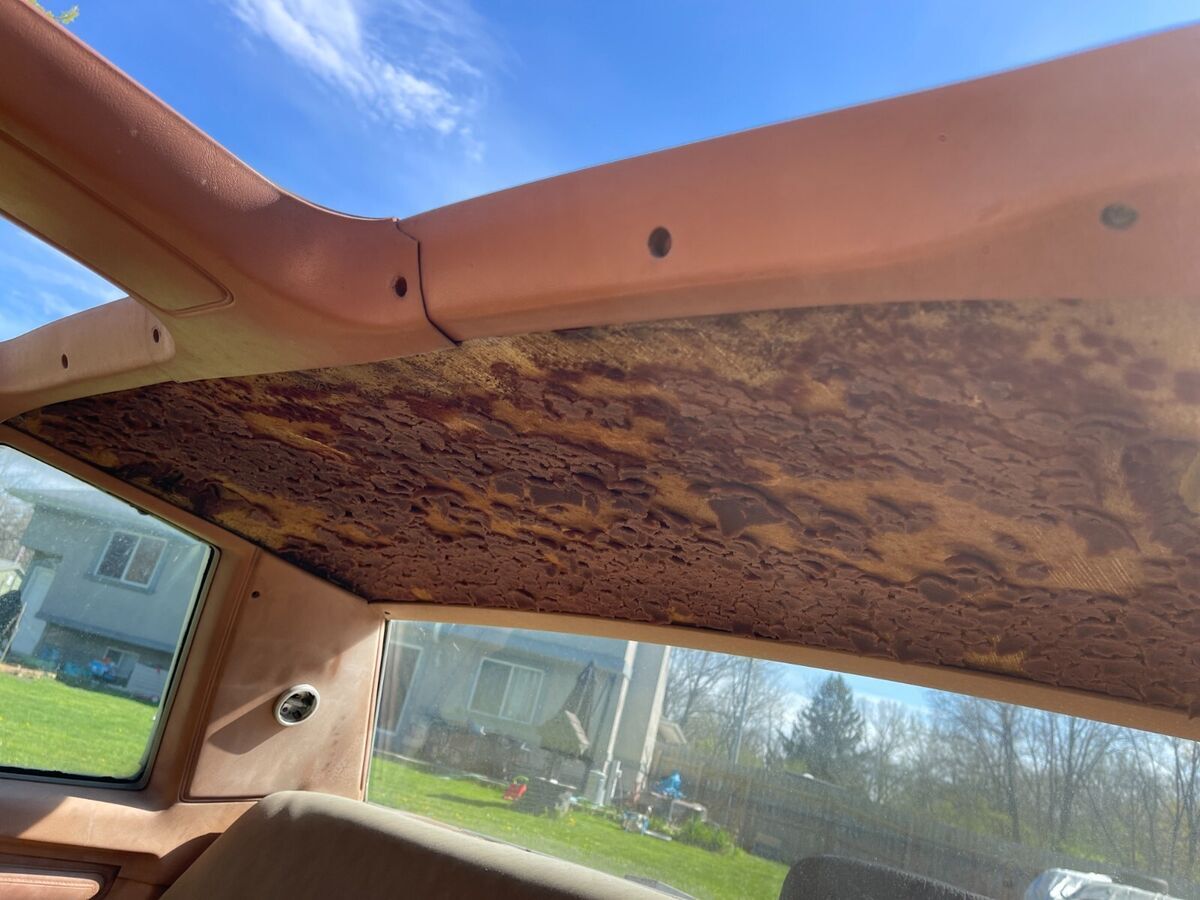 1979 Chevrolet Monte Carlo - photo 8