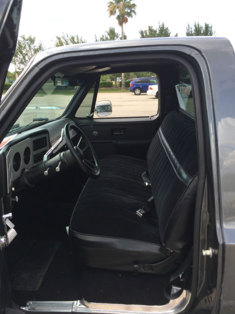 1979 Chevrolet Other Pickups - photo 3