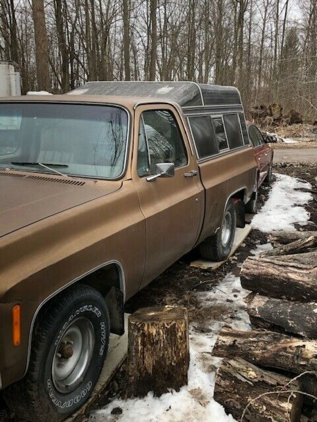 1979 Chevrolet C/K Pickup 1500 Tan - photo 2