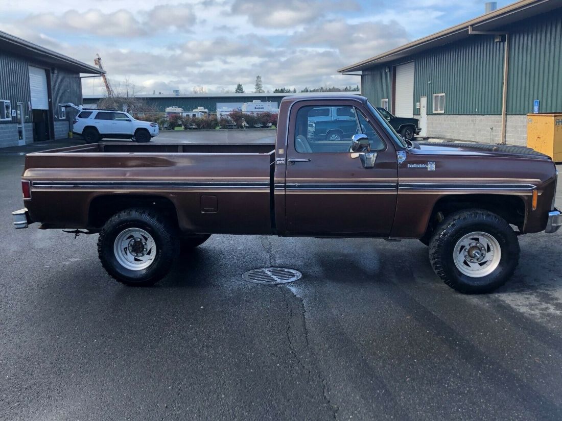 1979 Chevrolet C/K Pickup 2500 - photo 3