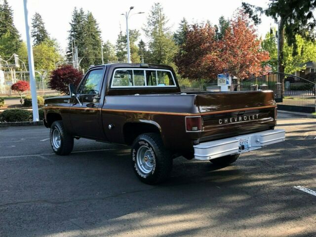 1979 Chevrolet C/K Pickup 1500 K10 SWB - photo 3