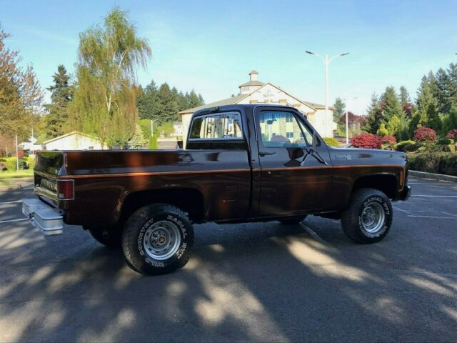 1979 Chevrolet C/K Pickup 1500 K10 SWB - photo 4