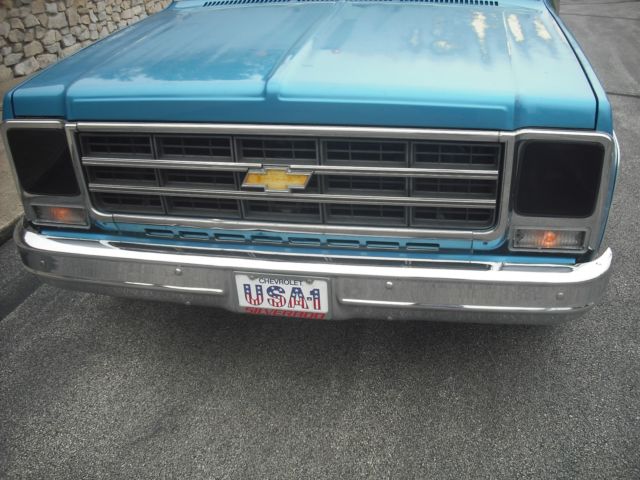 1979 Chevrolet Silverado 1500 - photo 2