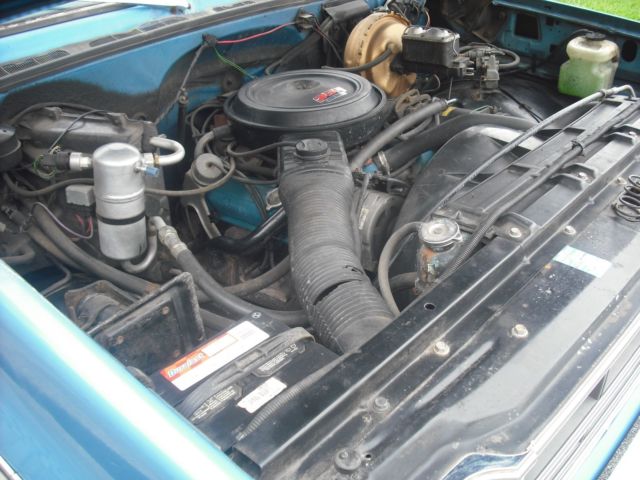 1979 Chevrolet Silverado 1500 - photo 10