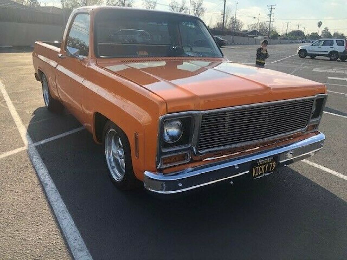 1979 Chevrolet C-10 - photo 7