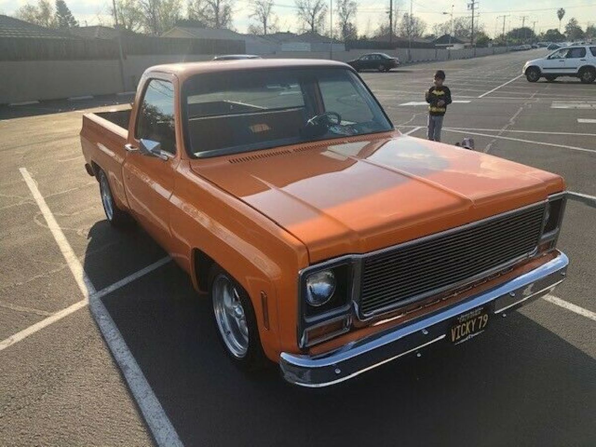 1979 Chevrolet C-10 - photo 8