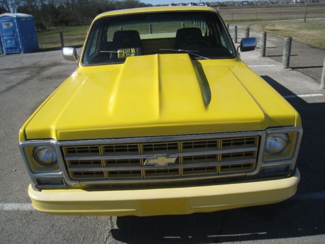 1979 Chevrolet C-10 Silverado Short Bed - photo 9