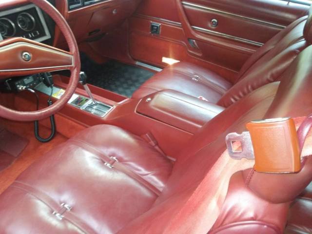 1979 Chrysler 300 Series - photo 9