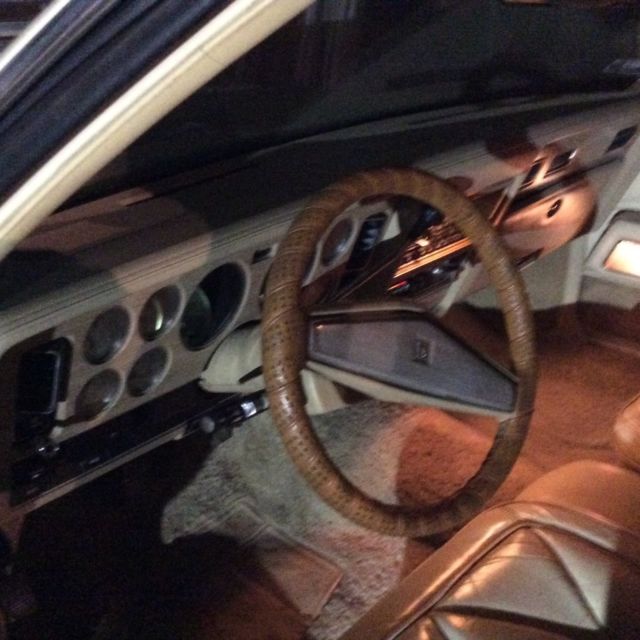 1979 Chrysler New Yorker 5th Avenue - photo 9