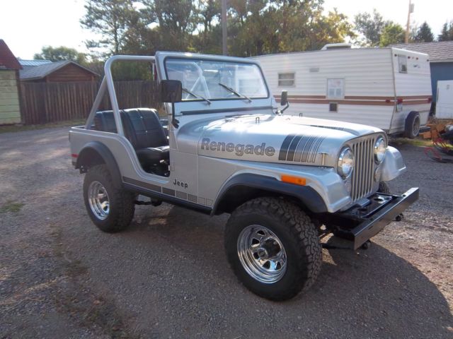 1979 cj5 silver anniversary 1979 Jeep CJ