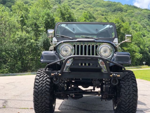 1979 Jeep CJ Renegade - photo 2