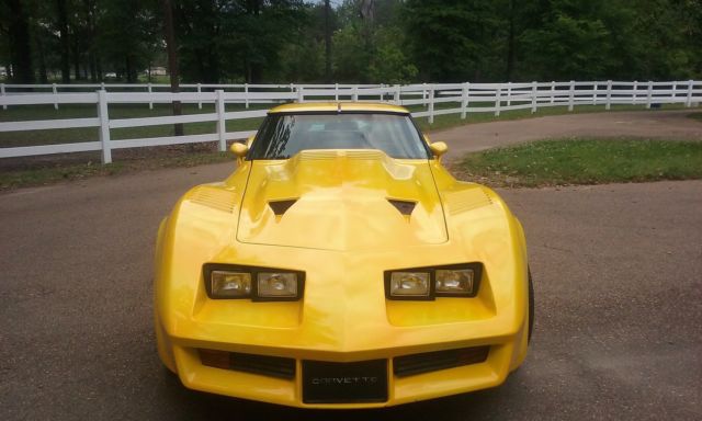 1979 Chevrolet Corvette - photo 4