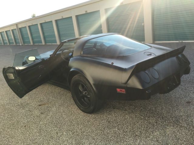 1979 Chevrolet Corvette - photo 11