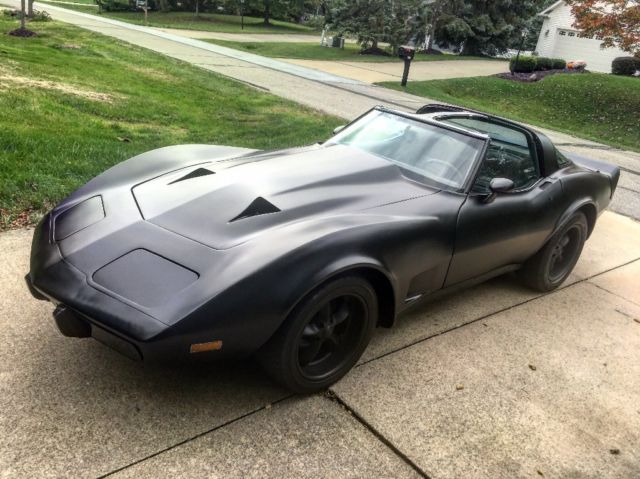 1979 Chevrolet Corvette - photo 6