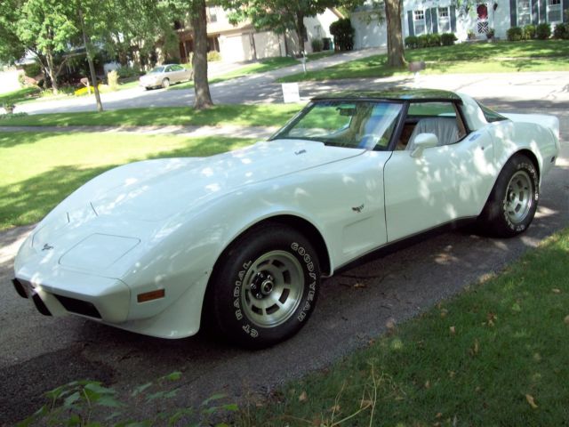 1979 Chevrolet Corvette All options