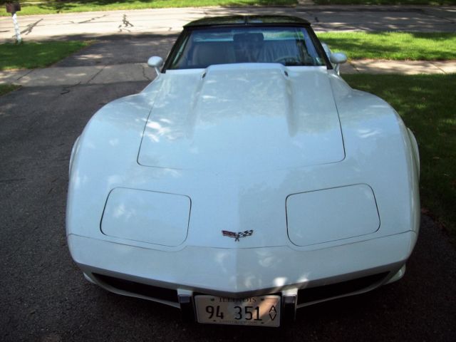 1979 Chevrolet Corvette All options - photo 3