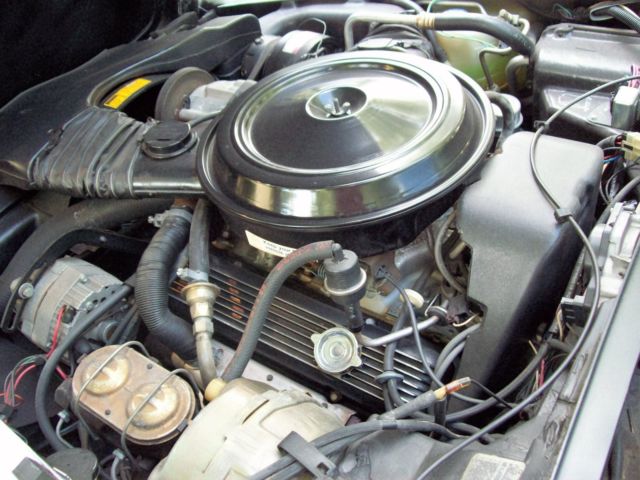1979 Chevrolet Corvette All options - photo 8