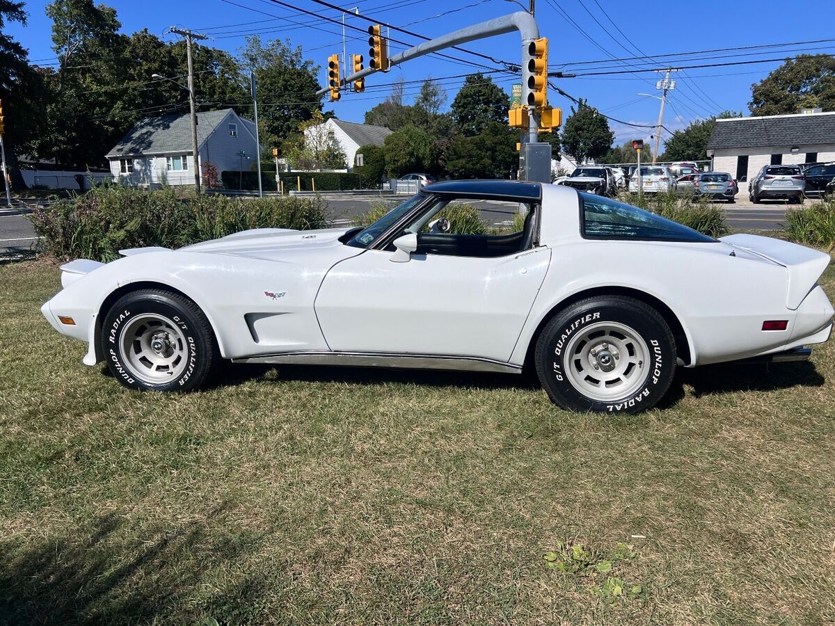 1979 Chevrolet Corvette - photo 11