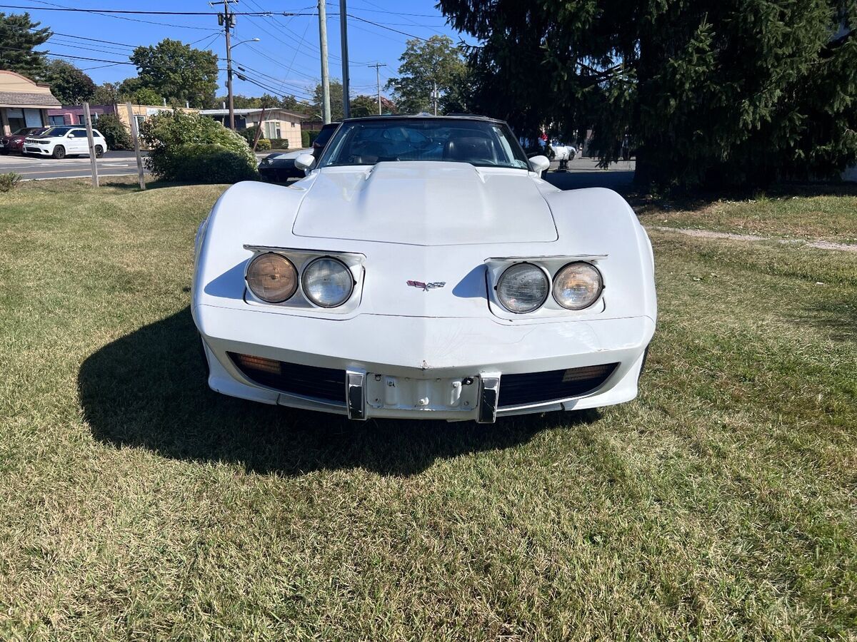 1979 Chevrolet Corvette - photo 2