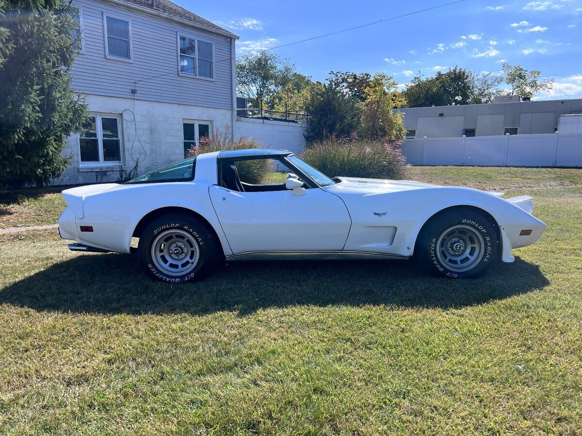 1979 Chevrolet Corvette - photo 6