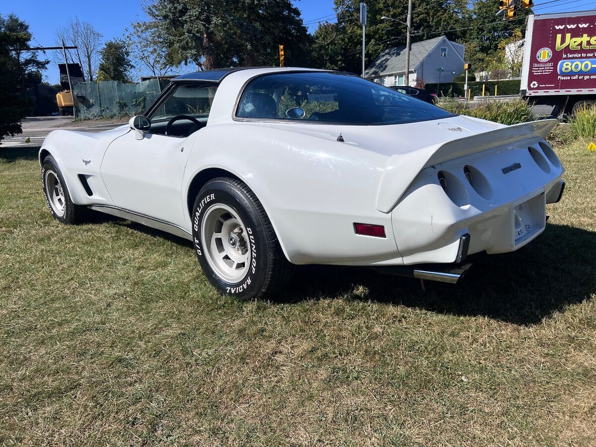 1979 Chevrolet Corvette - photo 8