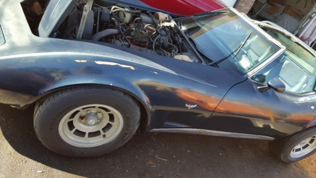 1979 Chevrolet Corvette - photo 5