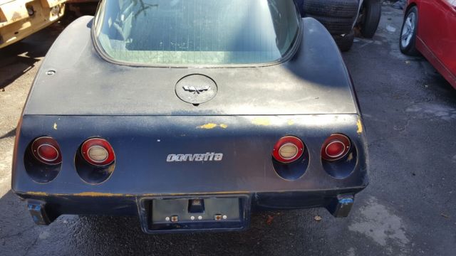 1979 Chevrolet Corvette - photo 8