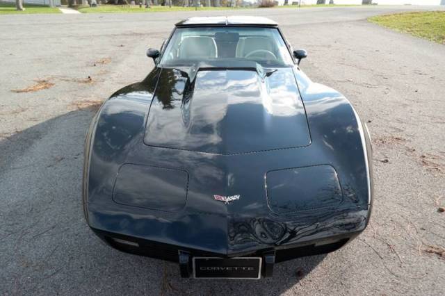 1979 Chevrolet Corvette - photo 10