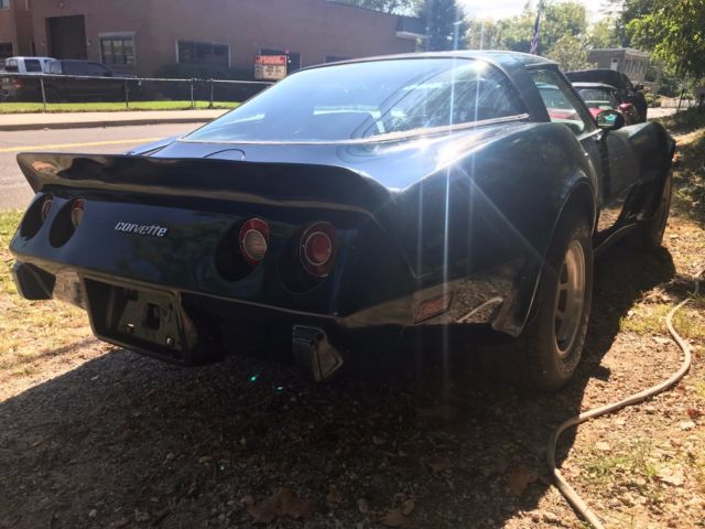 1979 Chevrolet Corvette L82 4 Speed - photo 6