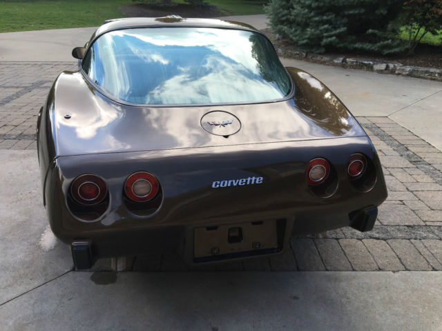 1979 Chevrolet Corvette L82 - photo 6