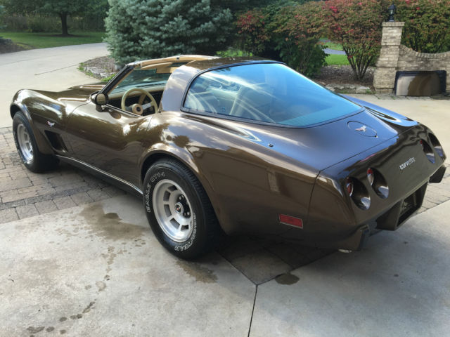 1979 Chevrolet Corvette L82 - photo 7
