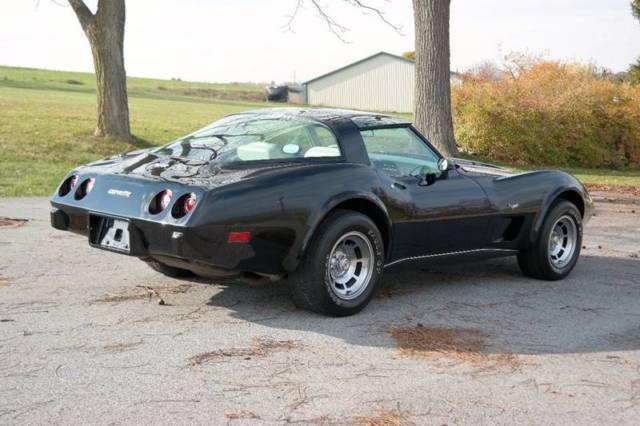 1979 Chevrolet Corvette - photo 9