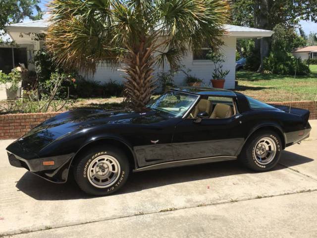 1979 Chevrolet Corvette - photo 10