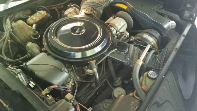 1979 Chevrolet Corvette L82 big block - photo 10