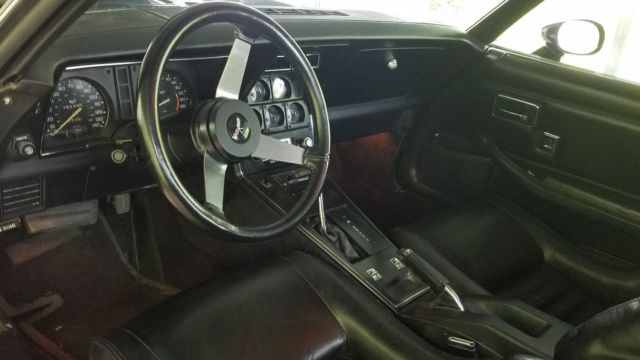1979 Chevrolet Corvette L82 big block - photo 4