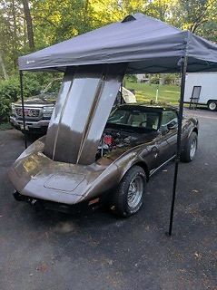 1979 Chevrolet Corvette - photo 9
