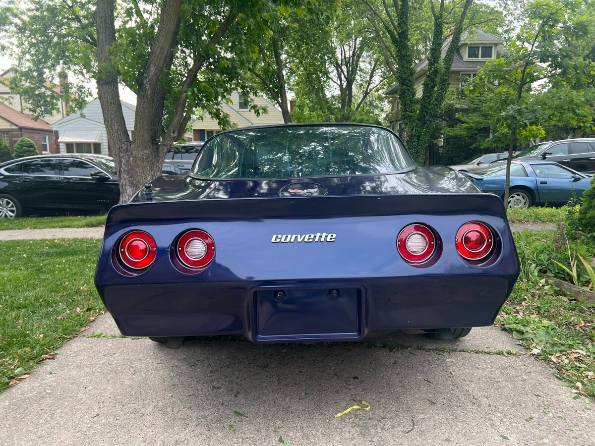 1979 Chevrolet Corvette 2dr Coupe - photo 10