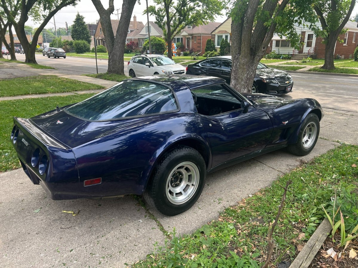 1979 Chevrolet Corvette 2dr Coupe - photo 11