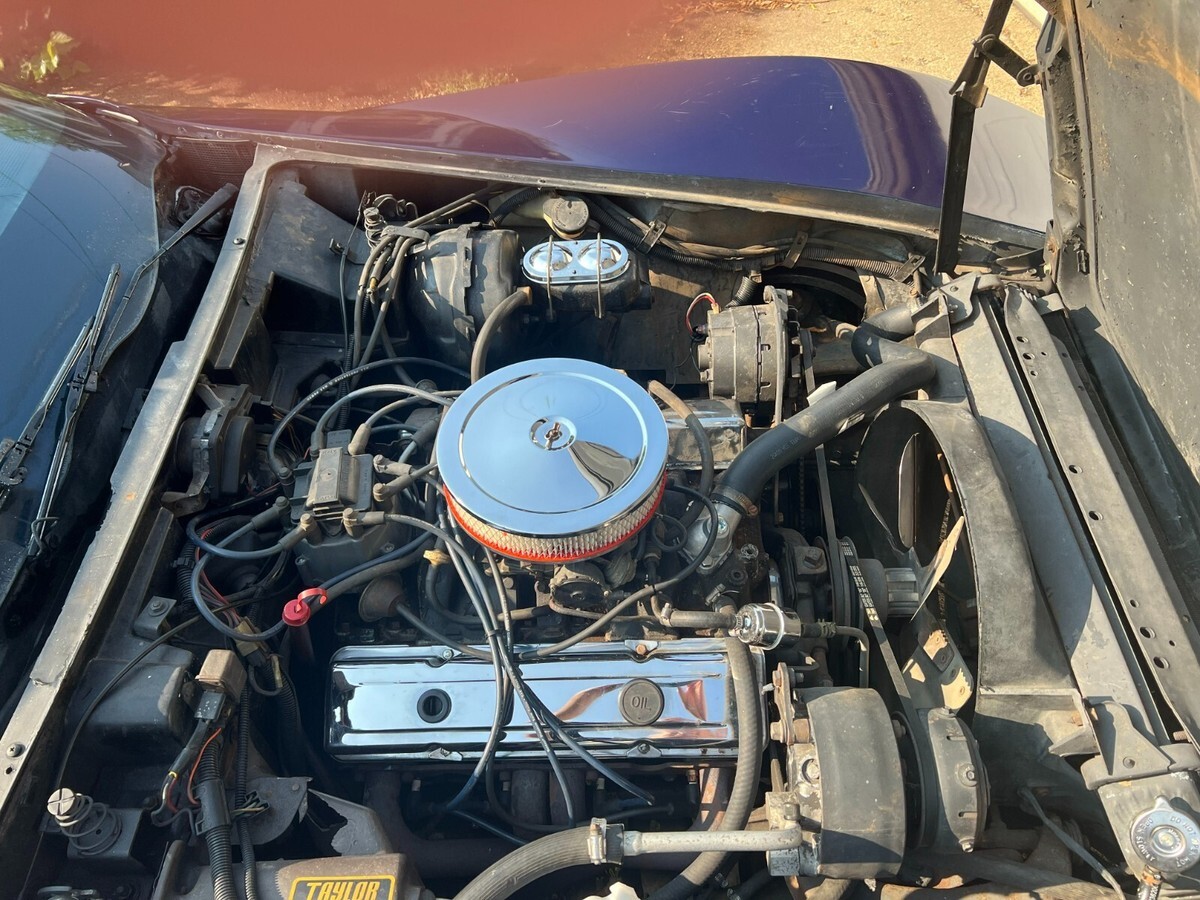 1979 Chevrolet Corvette 2dr Coupe - photo 6