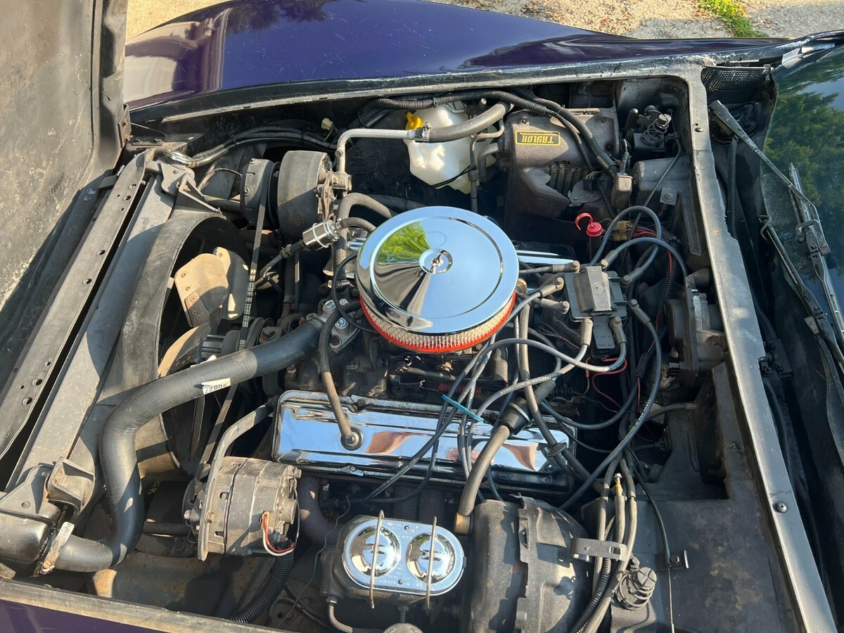 1979 Chevrolet Corvette 2dr Coupe - photo 7
