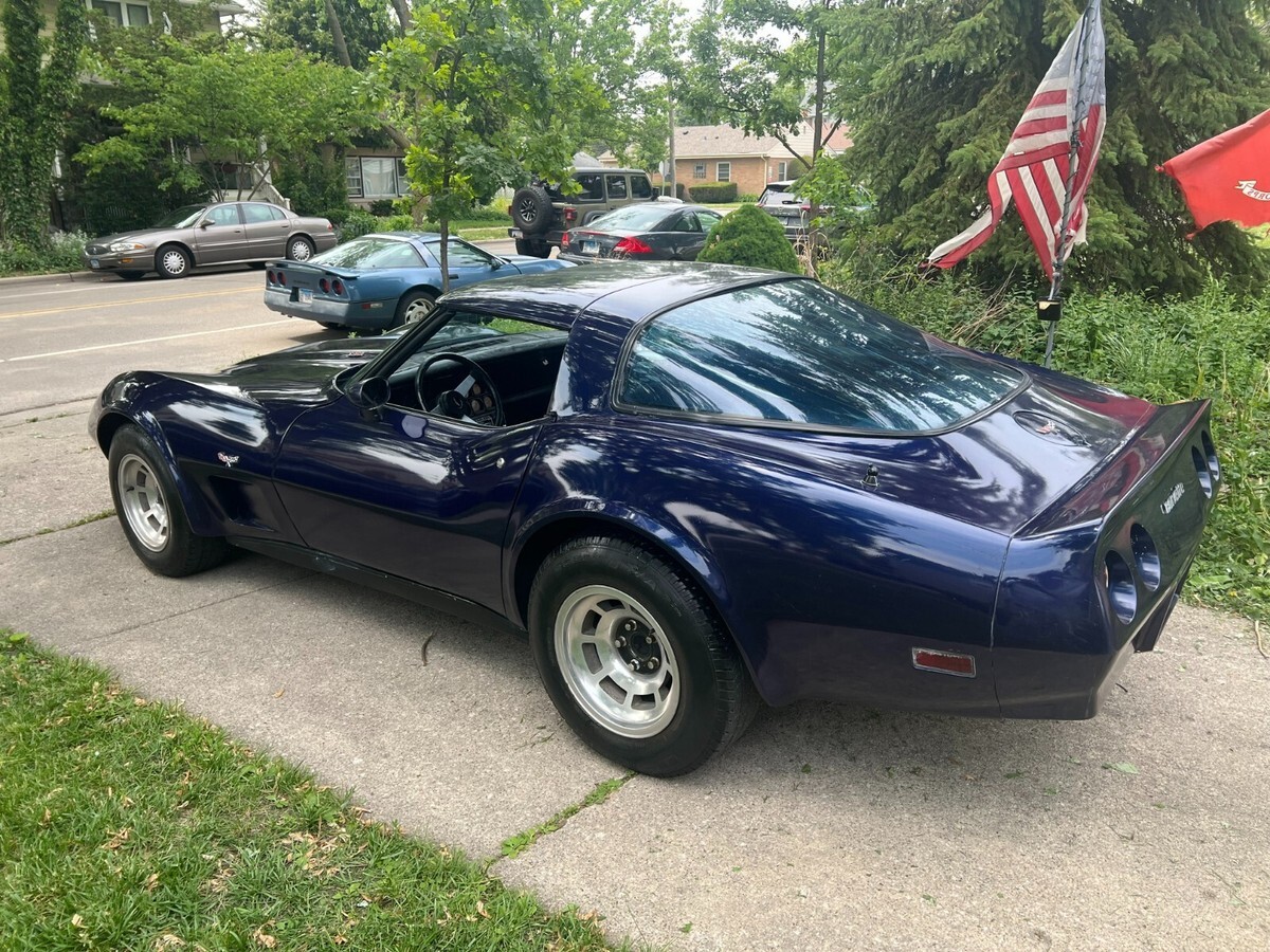 1979 Chevrolet Corvette 2dr Coupe - photo 9
